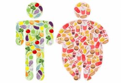 Obezite Tedavisinin Amacı ve Prensipleri